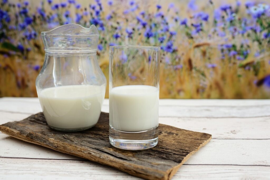 drink, milk, glass, refreshment, nourishment, healthy, dairy, milk, milk, milk, milk, milk